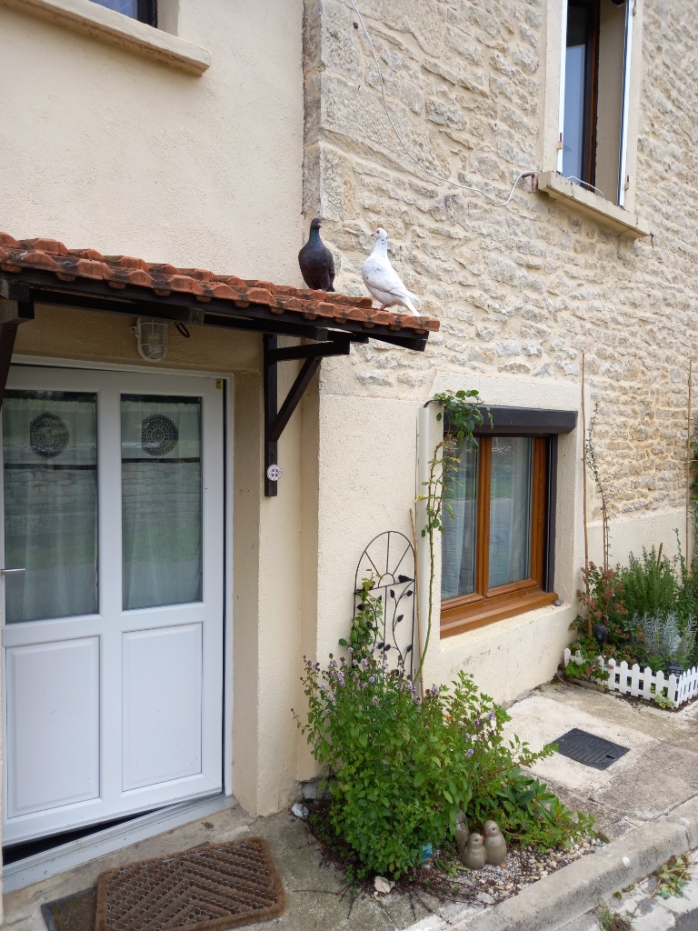 photo cabinet PIOFFRET THOMAS