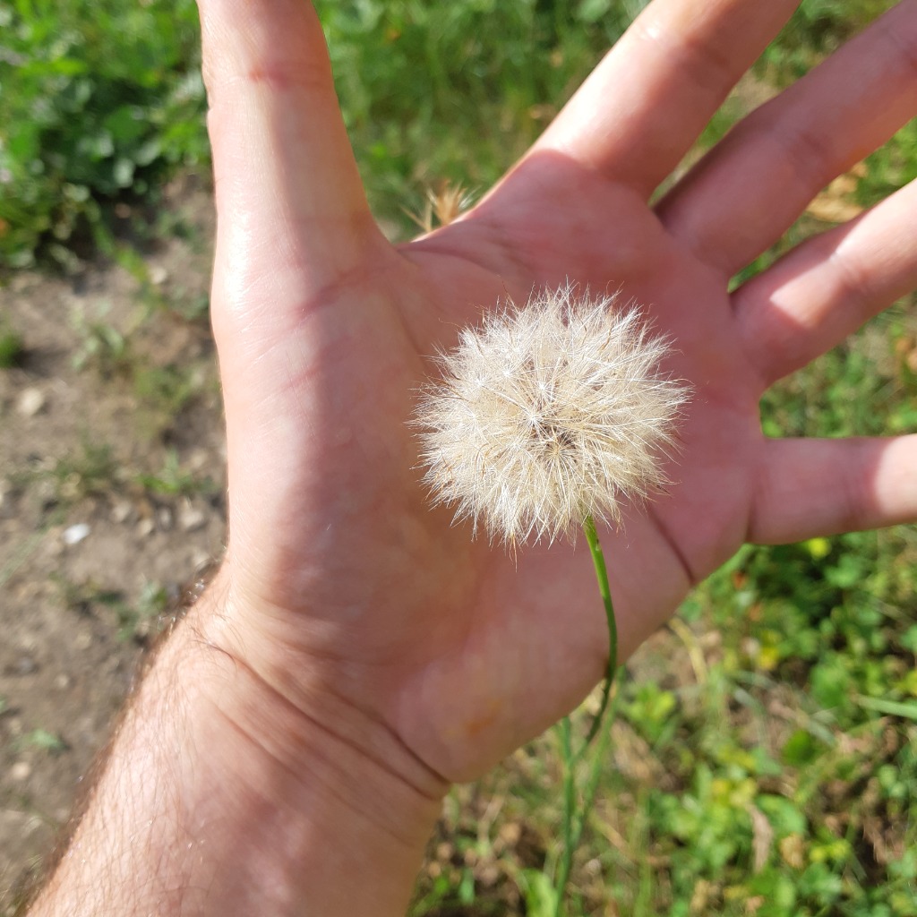 photo activite Mel6sens