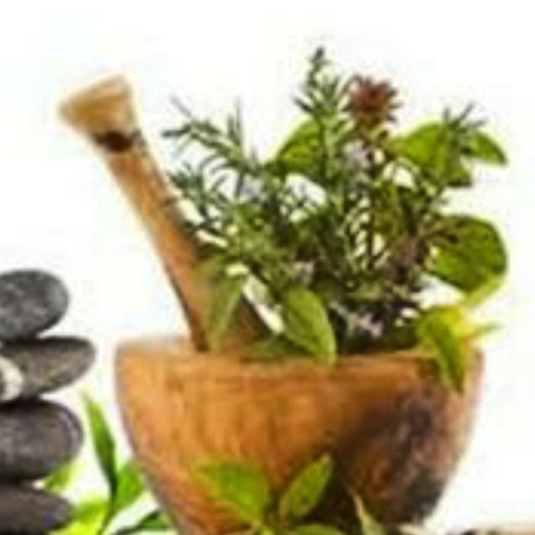 A. Pierdon Naturopathe