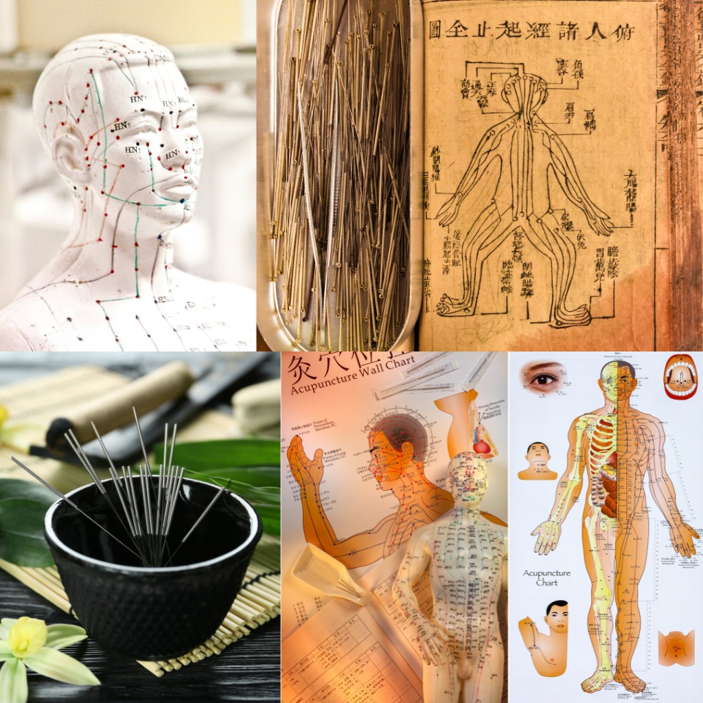 photo activite Aurélie OLEA