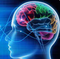 photo activite Mylene THIEBAUT