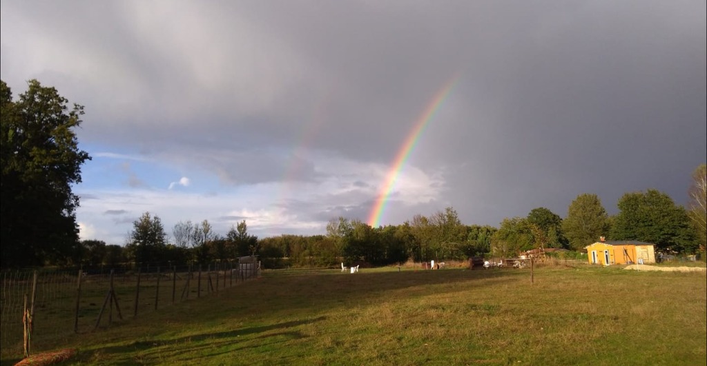 photo cabinet Lucile Pigeon 