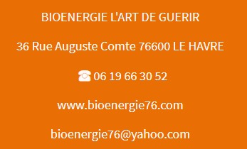 photo seance Bioenergie L’art de guerir 