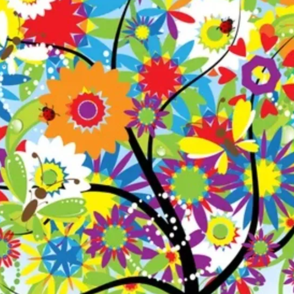 Santé Vitalité Tranquillité Laetitia Morel Naturo