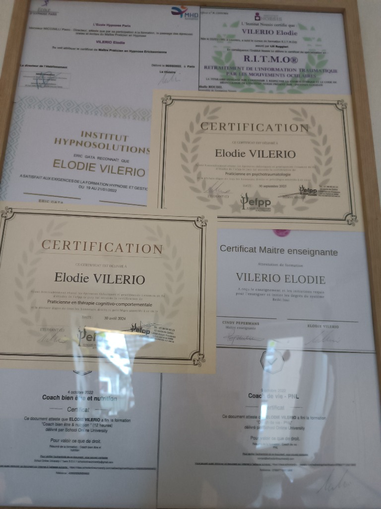 photo diplome VILERIO