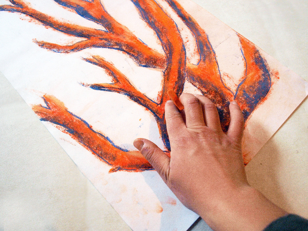 photo activite Elodie Ventura