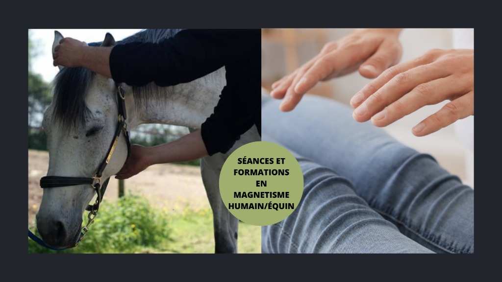 photo seance Sébastien Teulié