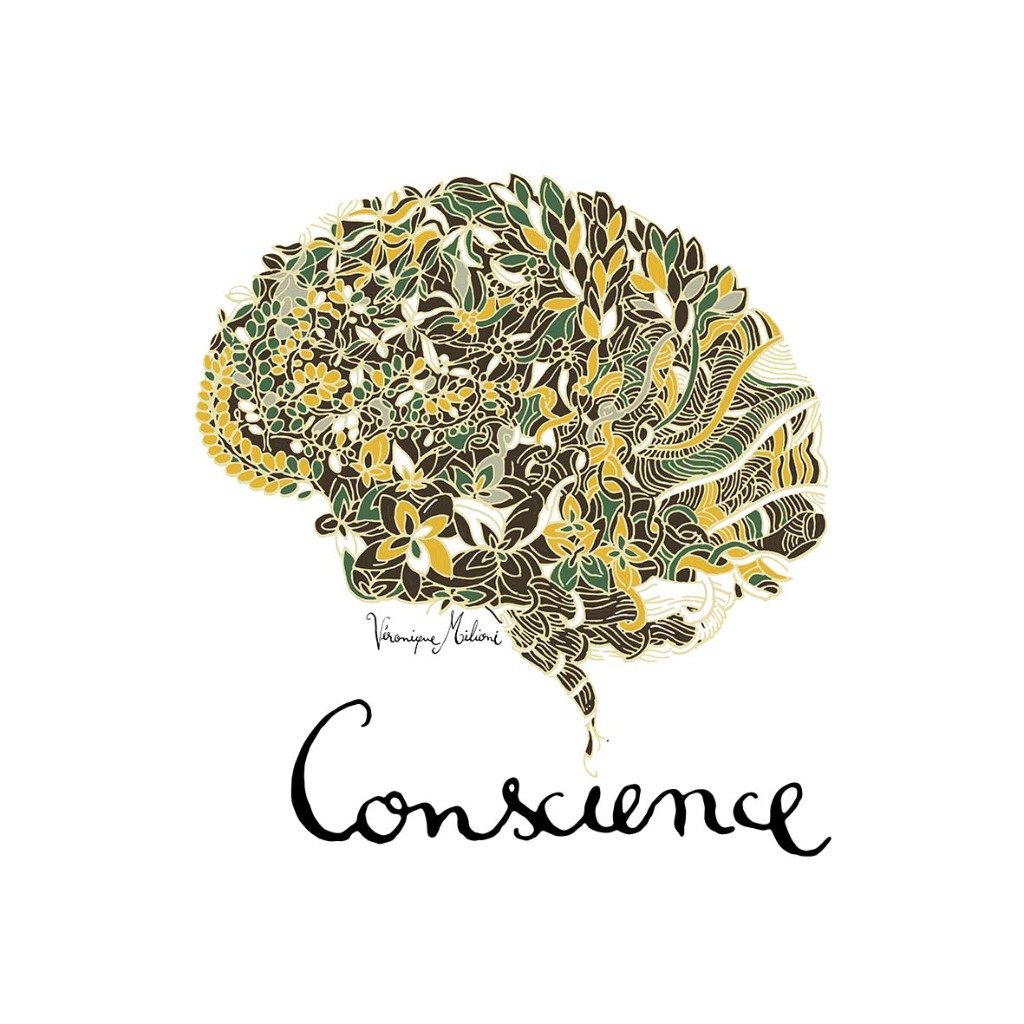 photo activite Psychologue psychothérapeute 