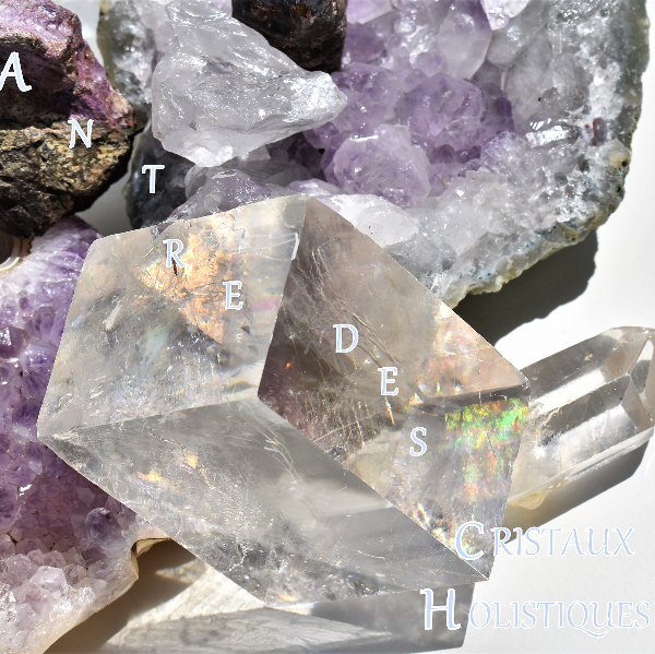 Antre des cristaux holistiques