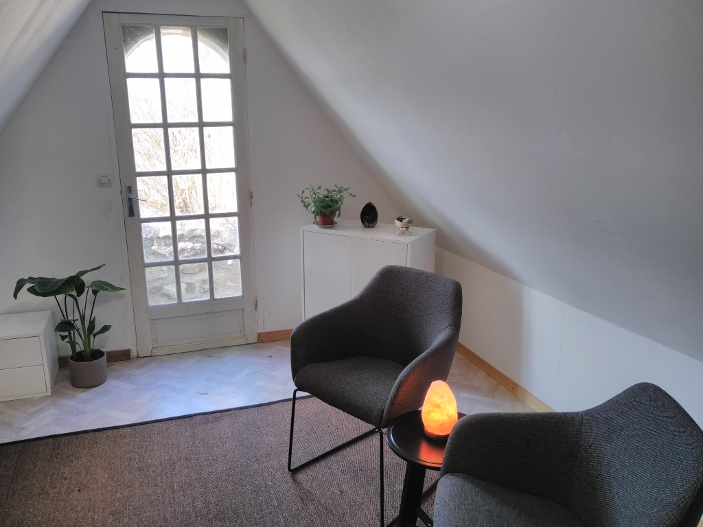 photo cabinet Maxime de Ganay