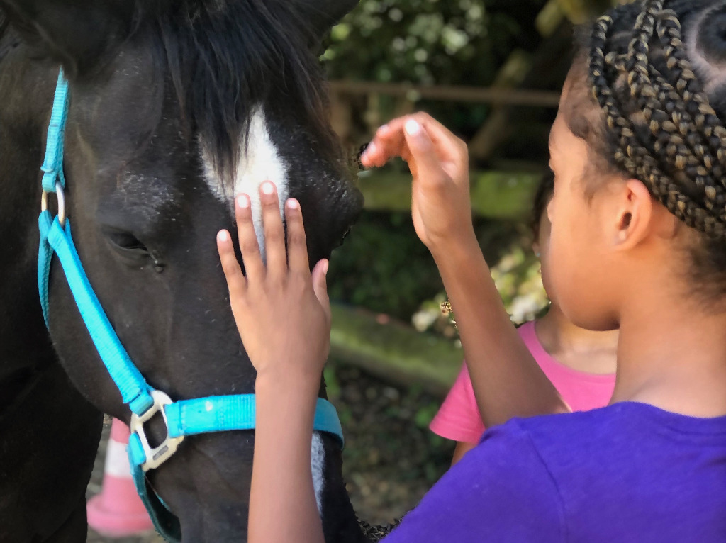 photo activite Stéphanie PRIME