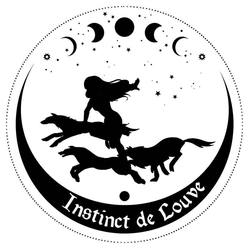 photo diplome Instinct de Louve
