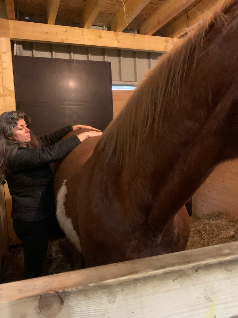 photo activite Véronique BIHI