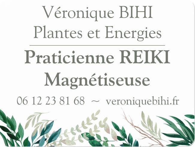 photo diplome Véronique BIHI