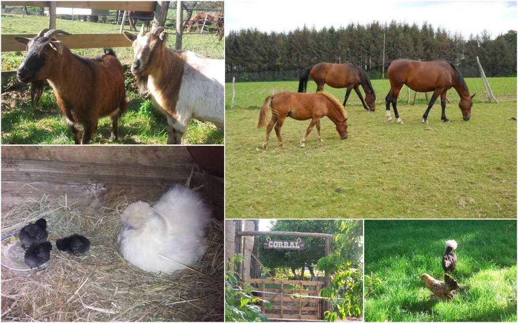 photo portrait Véronique BIHI