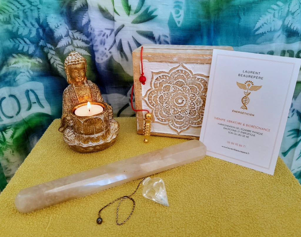 photo portrait Laurent Beaurepère