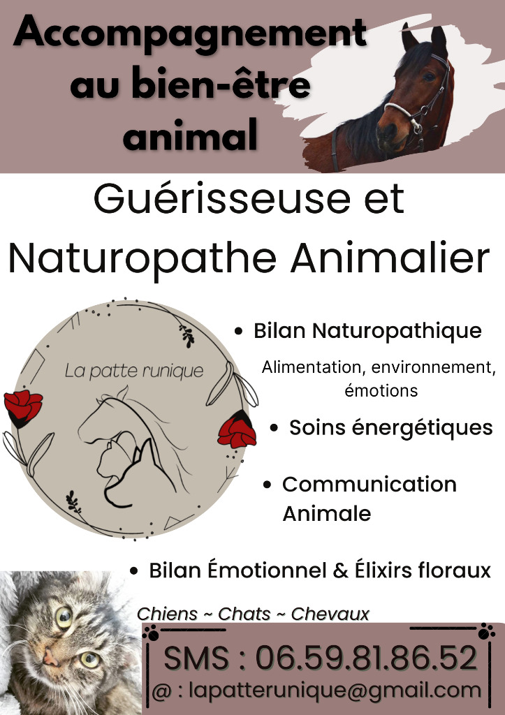 photo activite La patte runique