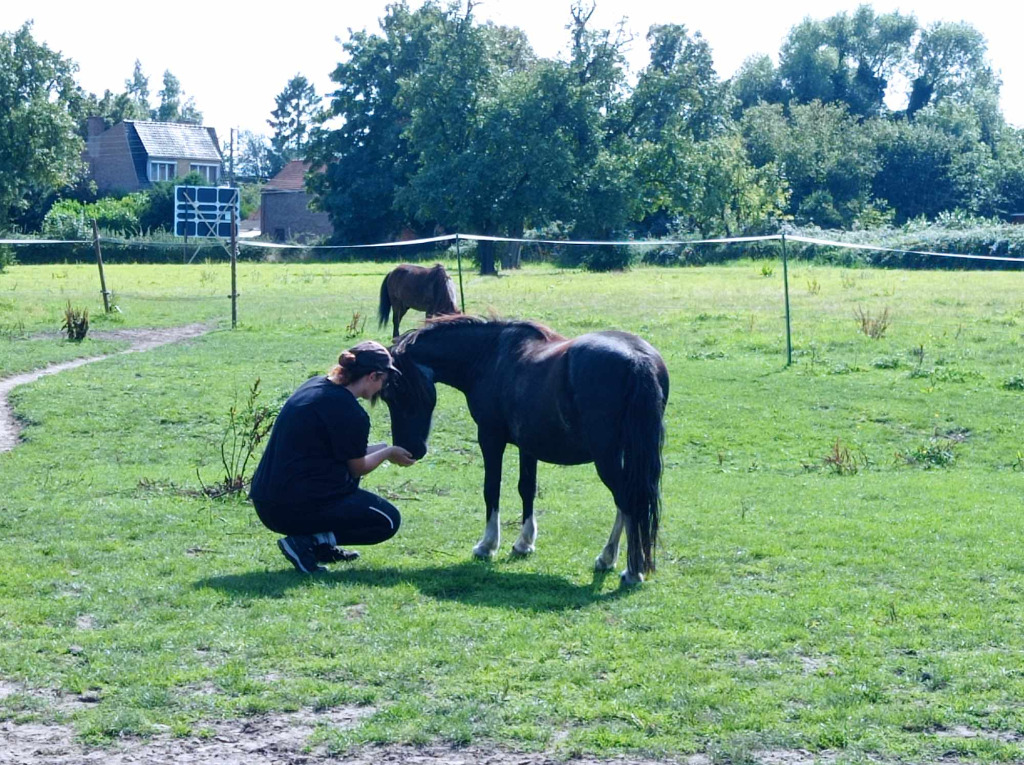 photo cabinet La patte runique