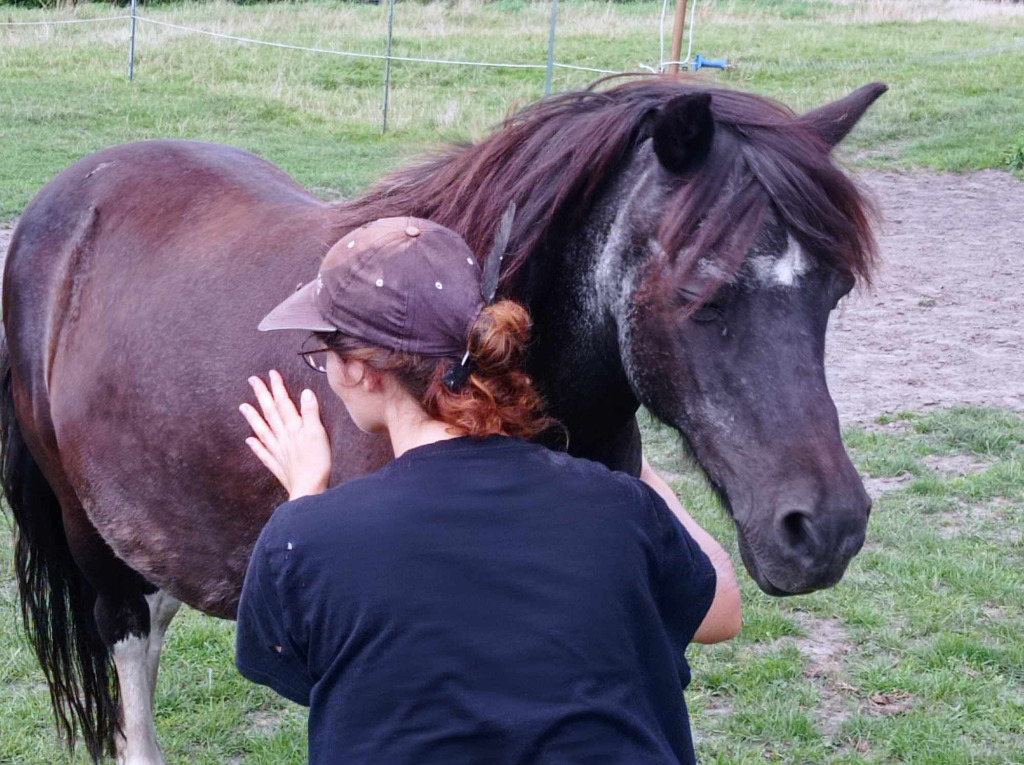 photo seance La patte runique