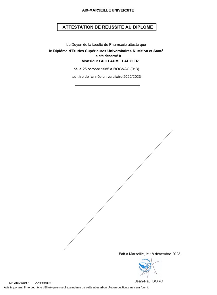 photo diplome Guillaume LAUGIER