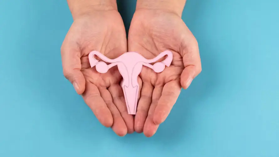 photo seance Guillaume LAUGIER