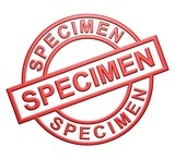 photo diplome Cynthia GARDERET