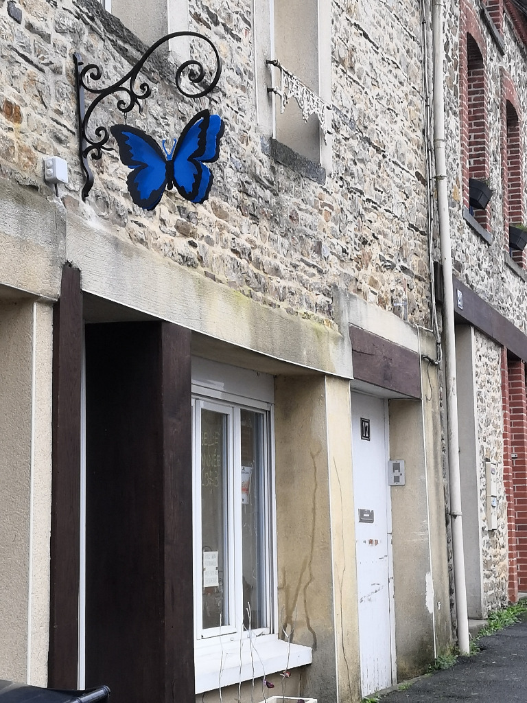 photo cabinet Natacha GELDRON ~ Blue Morpho Création ®