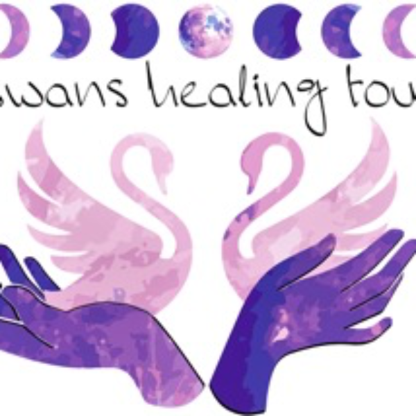 Swans Healing Touch