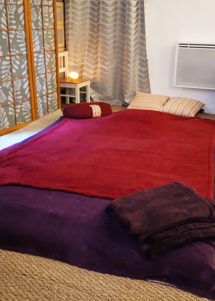 photo seance Pascale Duvigneau  Shiatsu