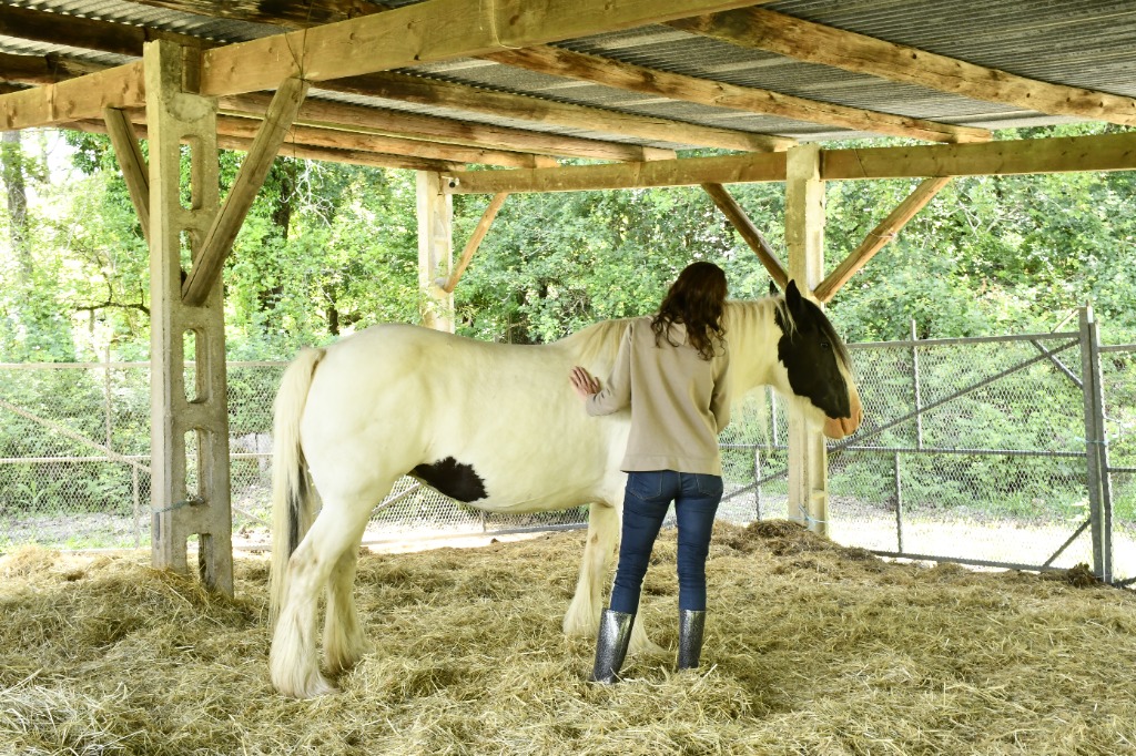 photo seance Caroline GILBERT