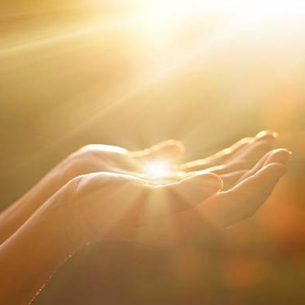 Centre Lumière Nature