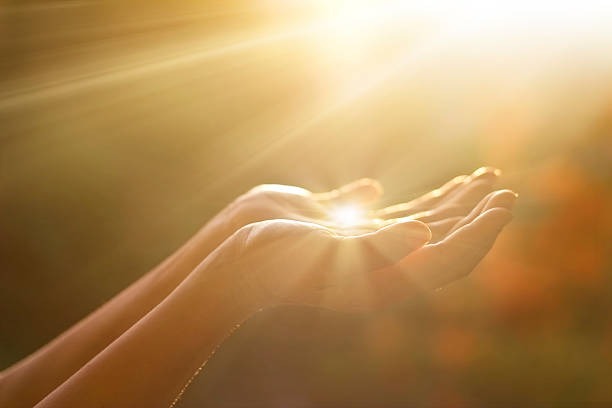 photo activite Centre Lumière Nature