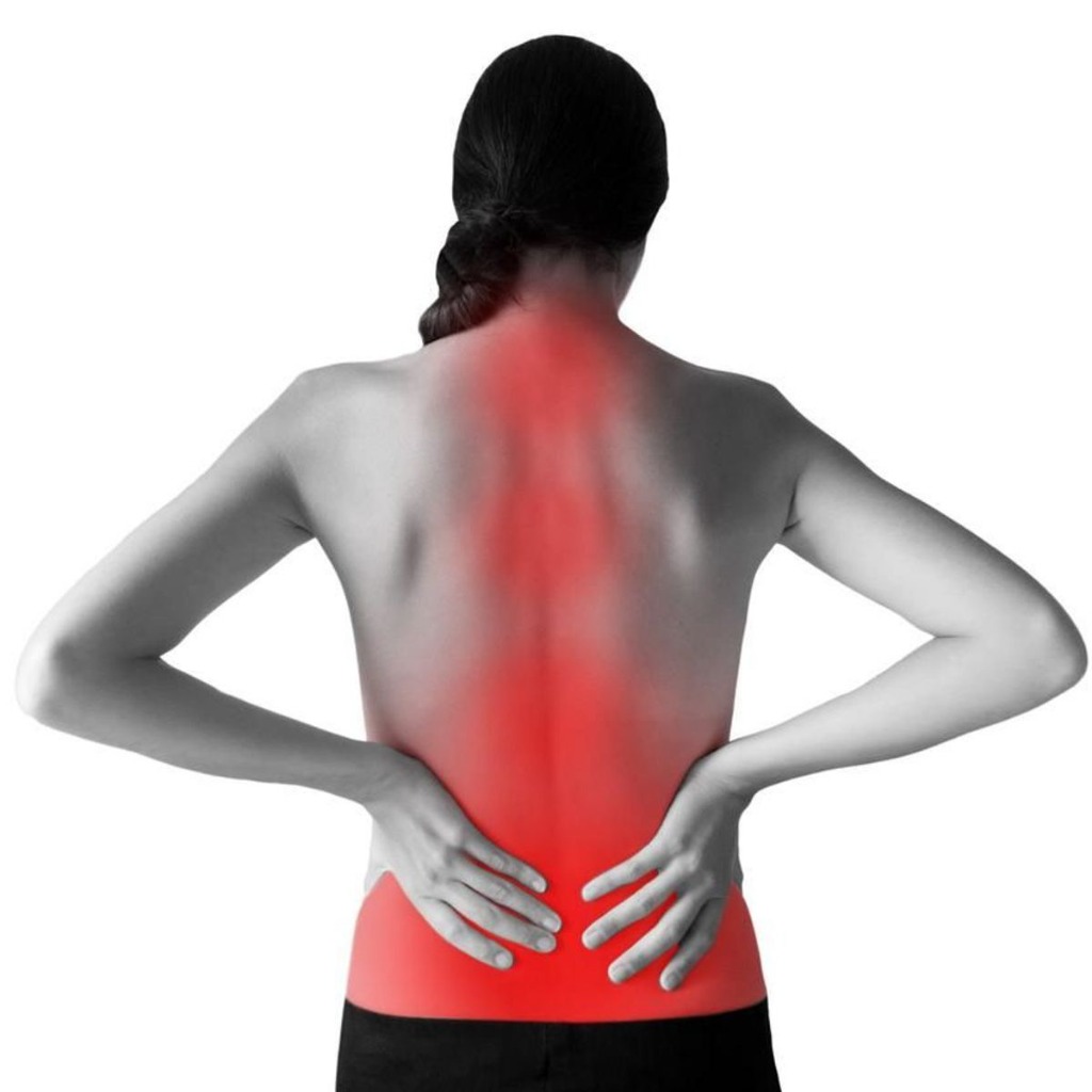 photo activite Caroline VINCENT