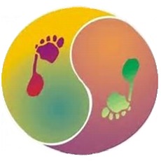 photo activite Cécile Schoeser