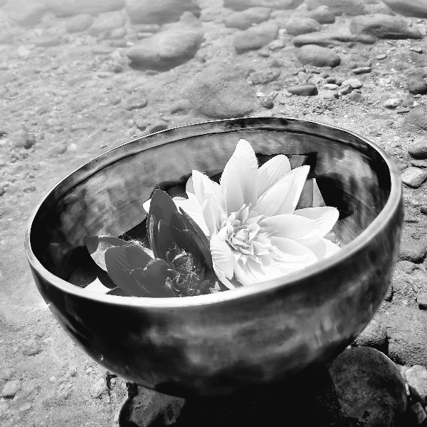 Miliecienne Bien Être