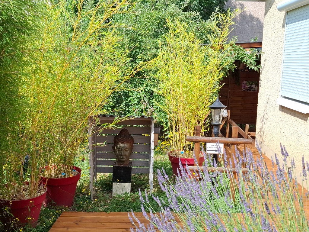 photo diplome Lionel MOUROT Hypnose-loire-forez