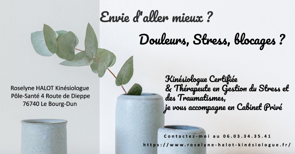 photo activite Roselyne Halot