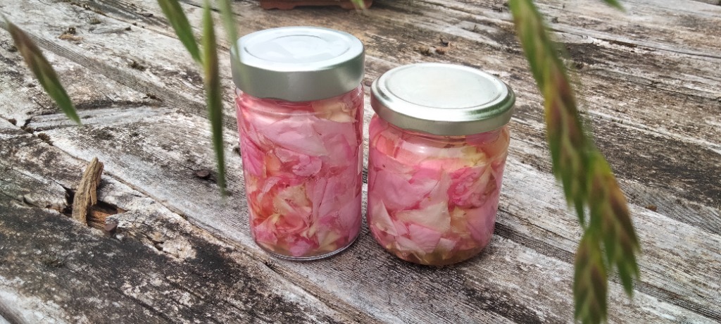 photo activite Marlène Lachaux 