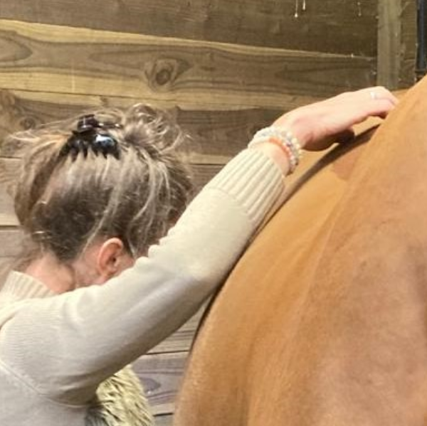 Krafft Ariane Shiatsu équin et canin