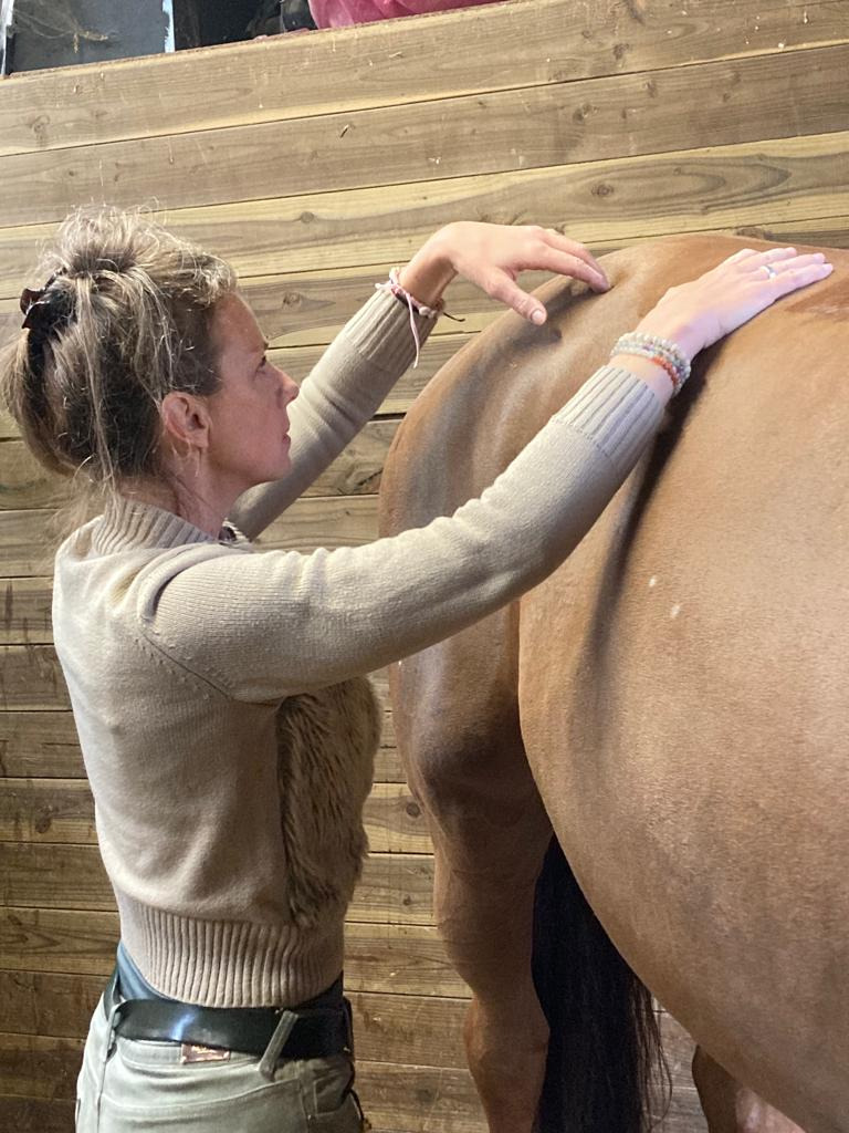 photo seance Krafft Ariane Shiatsu équin et canin