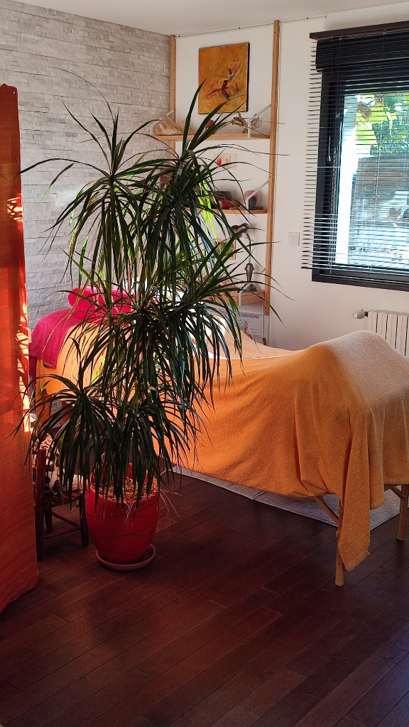 photo cabinet Ariane Nanjod