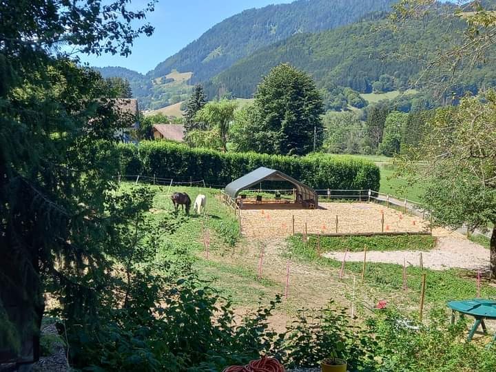 photo cabinet Sandra Boucher