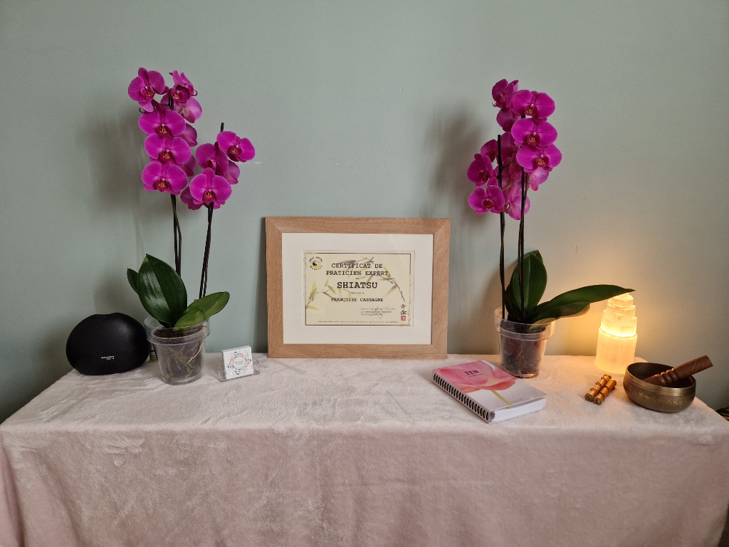 photo diplome Harmonie et Santé  - Shiatsu