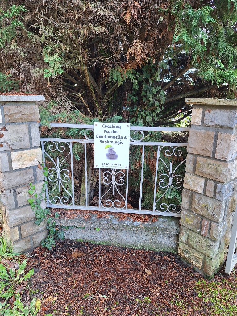 photo activite Natalia LECACHEUR