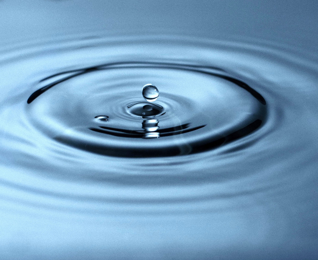 photo seance Laurent Comet