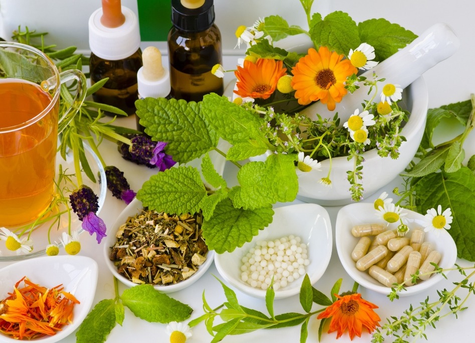 photo activite Cathy Le Gall