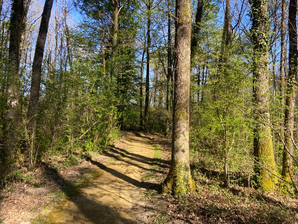 photo seance L’Instant Précieux