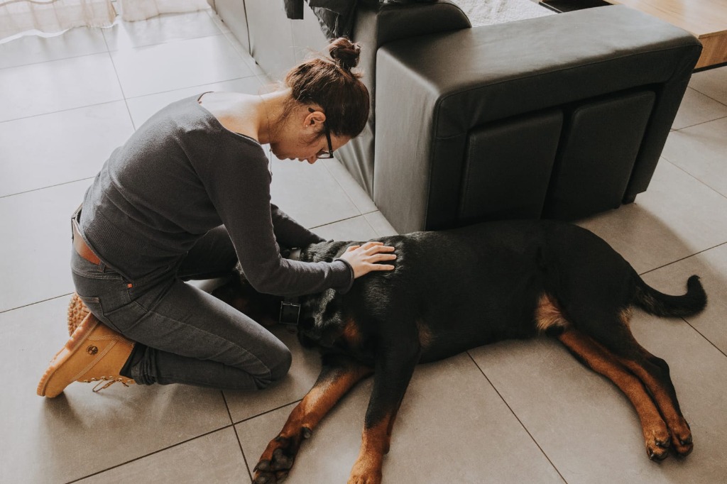 photo seance Carine Beauquin