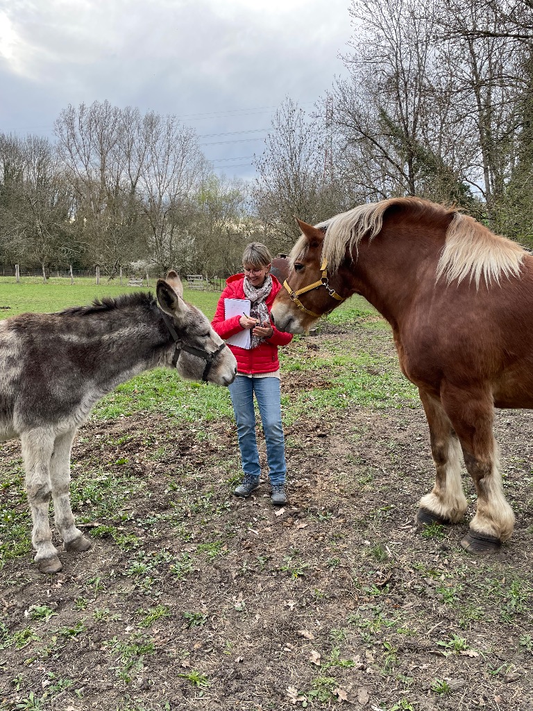 photo activite Communication animale Barbara Sanciaume