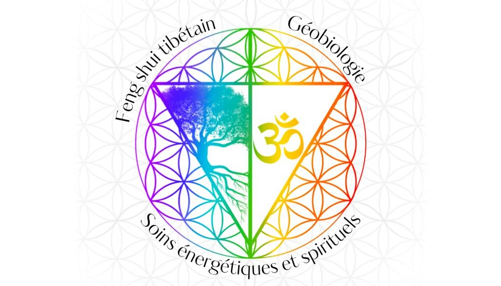 photo cabinet Nathalie Gaufreteau